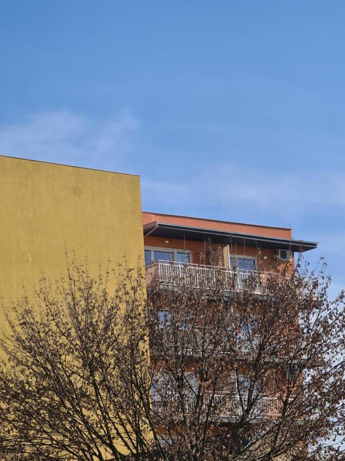 *joy* * Osijek